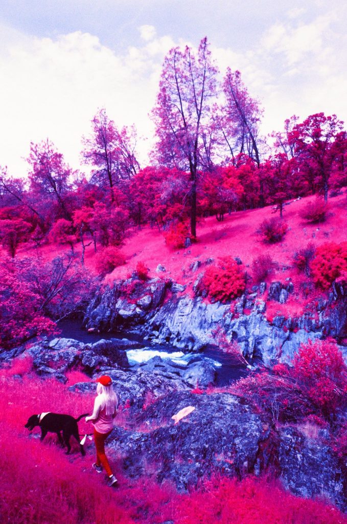 Infrared Film Photo shot with FPP InfraChrome Color Infrared Film and a #12 yellow filter.