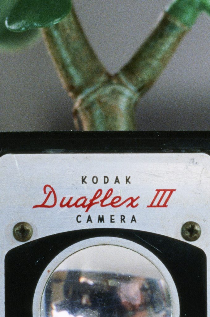 Ektachrome E100