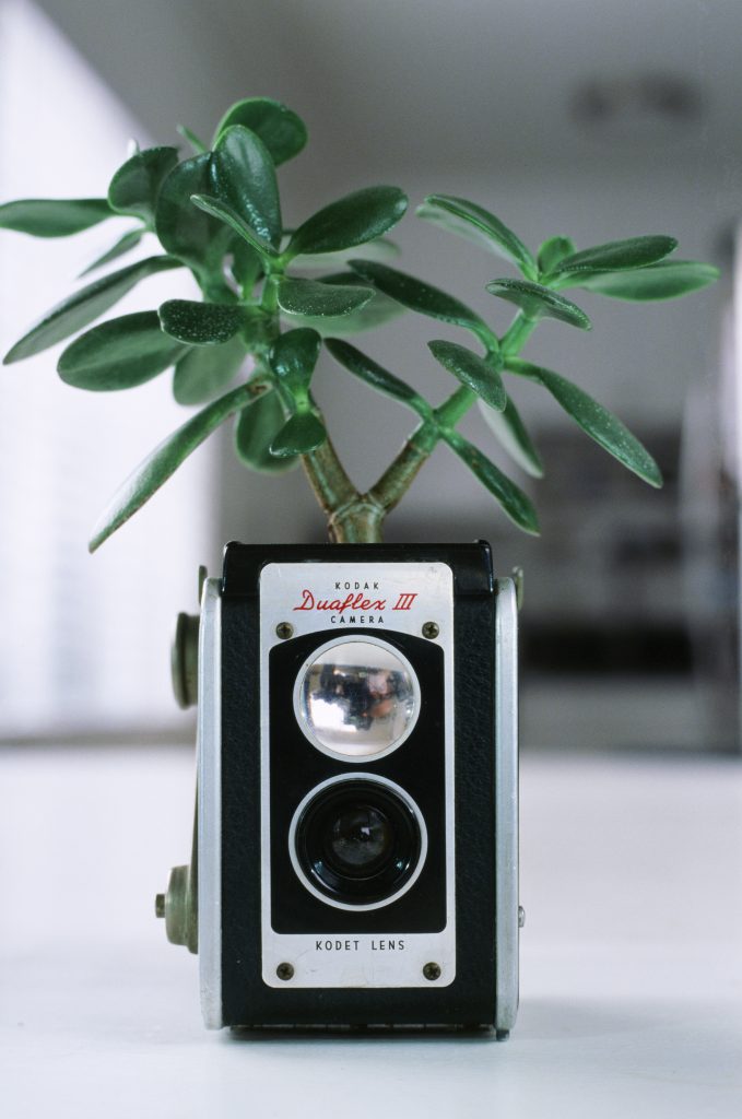 Ektachrome 100