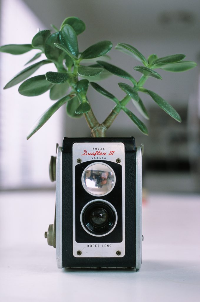 Fujifilm Provia 100f