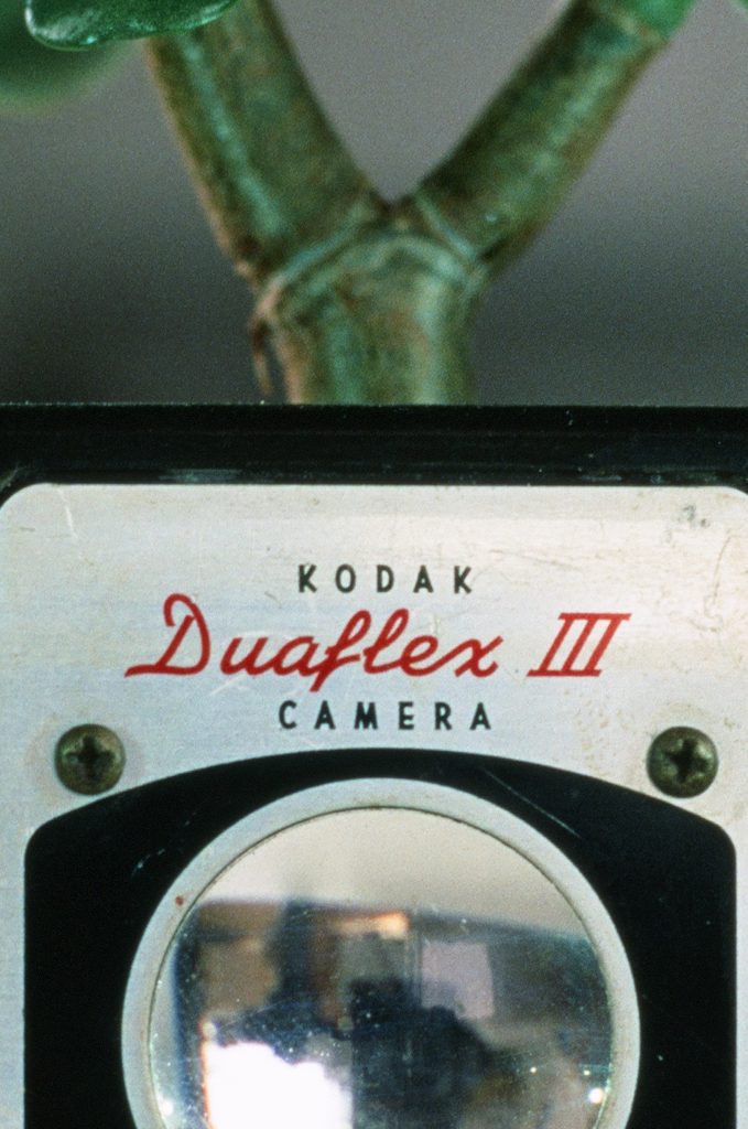 Fujifilm Velvia 50