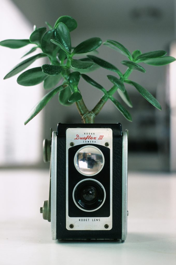 Fujifilm Velvia 50